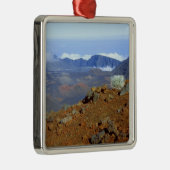 2付近からヘレアカラ火口縁のシルバーソード メタルオーナメント (右)