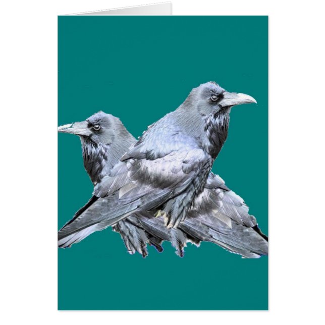 2個のワタリガラスのティール（緑がかった色）のギフト (正面)