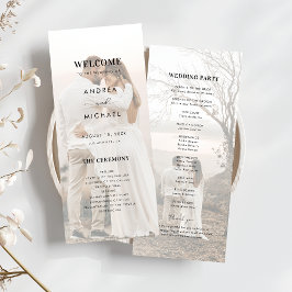 2光モダン色あせた透明結婚写真 プログラム