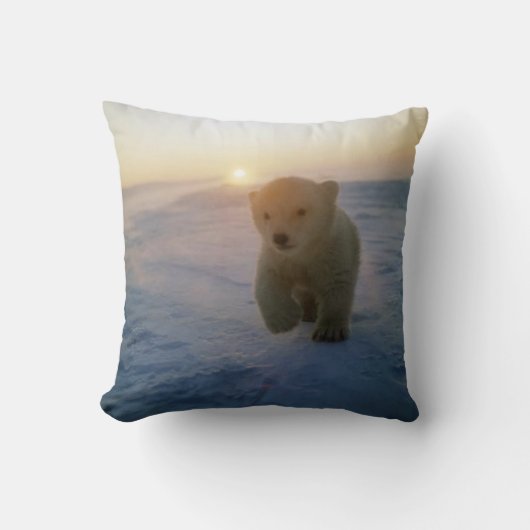 #2北極の小熊 クッション (正面)