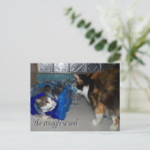 2匹おもしろいの猫が撮った「苦し実在い」 ポストカード (スタンド正面)