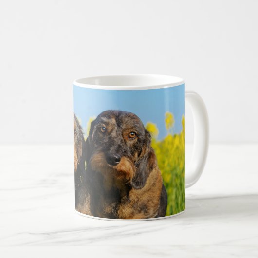 2匹のかわいいダックスフント犬のDackelのポートレートの写真の_ コーヒーマグカップ (正面右)