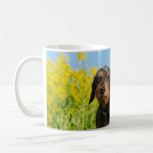 2匹のかわいいダックスフント犬のDackelのポートレートの写真の_ コーヒーマグカップ (左)
