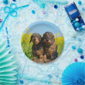 2匹のかわいいダックスフント犬のDackelの写真のおもしろいなパーティー ペーパープレート (パーティー)