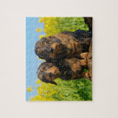 2匹のかわいいダックスフント犬のDackelの写真-ゲーム8x10 ジグソーパズル (縦)