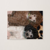 2匹のかわいいプードルのトイプードルの子犬 ジグソーパズル (横)