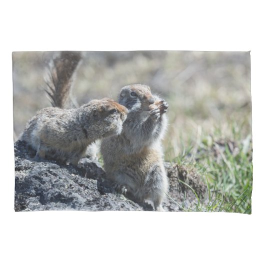2匹のかわいい地上リス(ホリネズミ、evrazki) 枕カバー (正面)