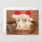 2匹のイエロー・ラブラドール・レトリーバーのクリスマスの子犬 シーズンポストカード (正面/裏面)