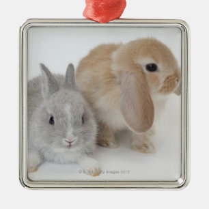 2匹のウサギ。Netherlandの小びとおよびオランダLOP メタルオーナメント