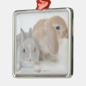 2匹のウサギ。Netherlandの小びとおよびオランダLOP メタルオーナメント (左)