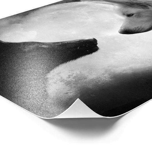 2匹のオオカミが向かい合う フォトプリント (角)