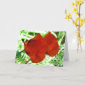 2匹のオニゲシの花の写真 カード (黄色い花)