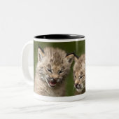2匹のカナダオオヤマネコ(オオヤマネコCanadensis)の子ネコ ツートーンマグカップ (正面左)