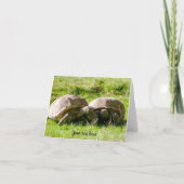 2匹のカメ - 親友！グリーティングカード カード (正面)