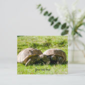 2匹のカメ - 親友！ ポストカード (スタンド正面)