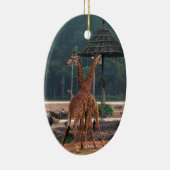 2匹のキリンが動物園でお互いを慰め合う セラミックオーナメント (右)