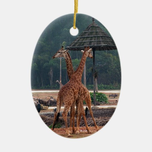 2匹のキリンが動物園でお互いを慰め合う セラミックオーナメント (正面)