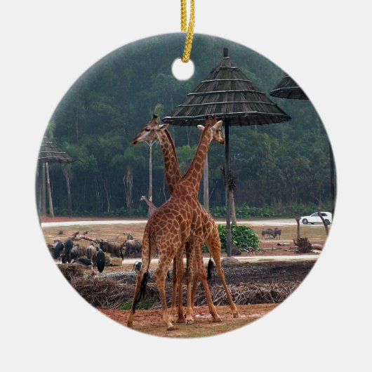 2匹のキリンが動物園でお互いを慰め合う セラミックオーナメント (正面)