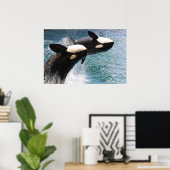 2匹のシャチが水から飛び出す ポスター (ホームオフィス)