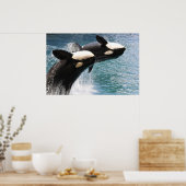 2匹のシャチが水から飛び出す ポスター (キッチン)