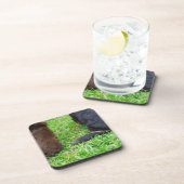 2匹のダックスフント犬の背面図 コースター (右側)