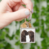 2匹のチョコレートラブラドル・レトリーバー犬の子犬 キーホルダー (手)