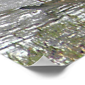 2匹のドレイクと1匹のニワトリ ポスター (角)