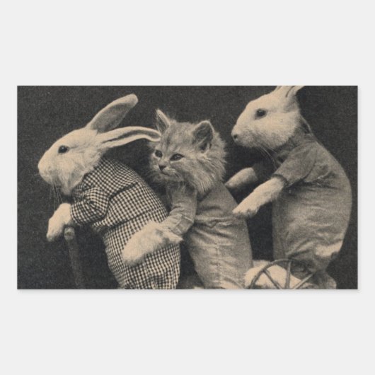 2匹のバンニと猫がスクーターのステッカー 長方形シール (正面)