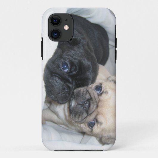 2匹のパグの箱 Case-Mate iPhoneケース (裏面)
