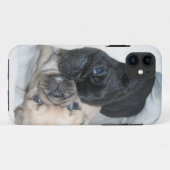 2匹のパグの箱 Case-Mate iPhoneケース (裏面(横))