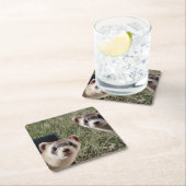 2匹のフェレット スクエアペーパーコースター (インサイチュ)