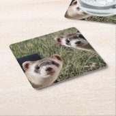 2匹のフェレット スクエアペーパーコースター (アングル)