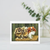 2匹のペキン犬 ポストカード (スタンド正面)