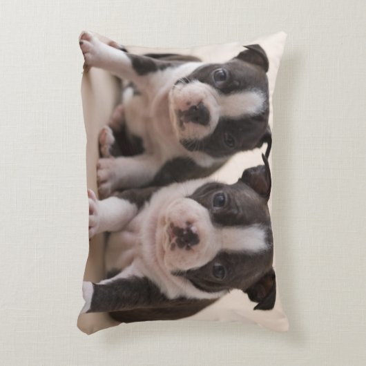 2匹のボストンテリアの子犬 アクセントクッション (正面(垂直))