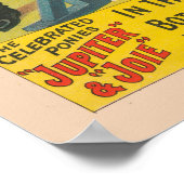 2匹のポニーが障害物を飛び越えるサーカスポスター ポスター (角)