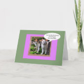 2匹の中間猫はイースターのウサギに取り組みます シーズンカード (正面)