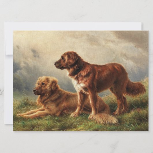 2匹の夜警の犬 カード (正面)