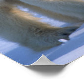 2匹の子を抱いた雌性極熊 ポスター (角)