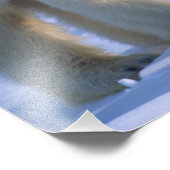 2匹の子を持つ雌性ホッキョクグマ フォトプリント            (角)