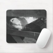 2匹の子牛が穴を通って鼻をつく マウスパッド (マウス)