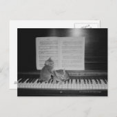 2匹の子猫がピアノの鍵盤に一枚ずつ座っている ポストカード (正面/裏面)