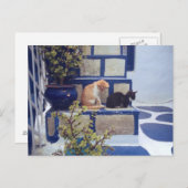 2匹の子猫が楽しんで ポストカード (正面/裏面)