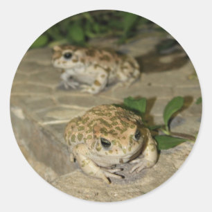 2匹の小さいヒキガエル-緑カエルのプリント ラウンドシール