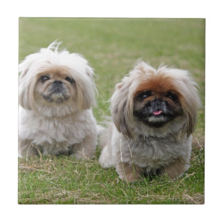 2匹の幸せで小さい子犬 タイル