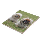 2匹の幸せで小さい子犬 タイル (側面)