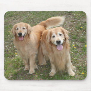 2匹の微笑むゴールデンレトリバー犬が公園で マウスパッド