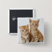 2匹の愛らしい子ネコ 缶バッジ (正面&裏面)
