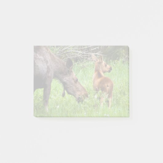 2匹の注意深いアメリカヘラジカの母およびベビー ポストイット (正面)