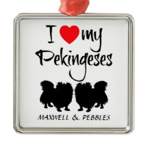 2匹の牡牛犬が大好き