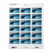 2匹の犬がスイミングプールに飛び込む! ラベル (フルシート)